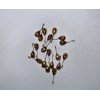 Ice fishing hook brass NR30 (m)