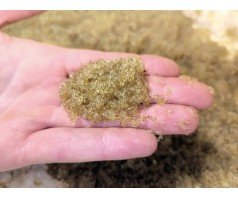 Karetra 100g