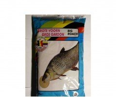 Marcel van den eynde Gros Roach