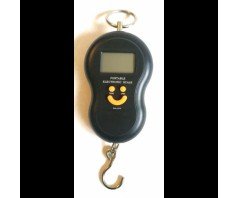Electronic scales