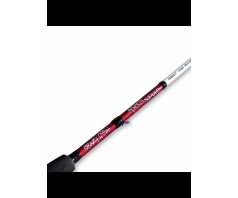 Spiningas Crazy Aspen Stake 2.20m 20-80g AS732HT