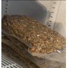 Vakuumuotos musės lervos 500ml
